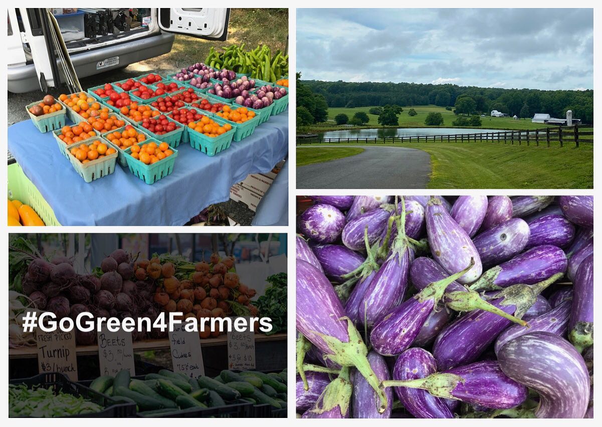 Photo 9 from FARMER FOODSHARE INC