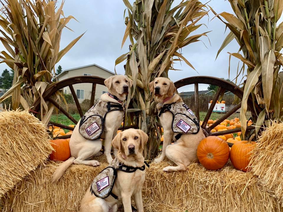 Photo 8 from Paws Assisting Veterans
