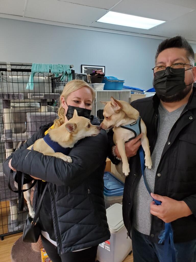 Photo 1 from Oregon Friends of Shelter Animals
