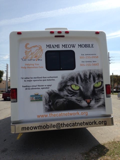 Photo 4 from Cat Network, Inc.