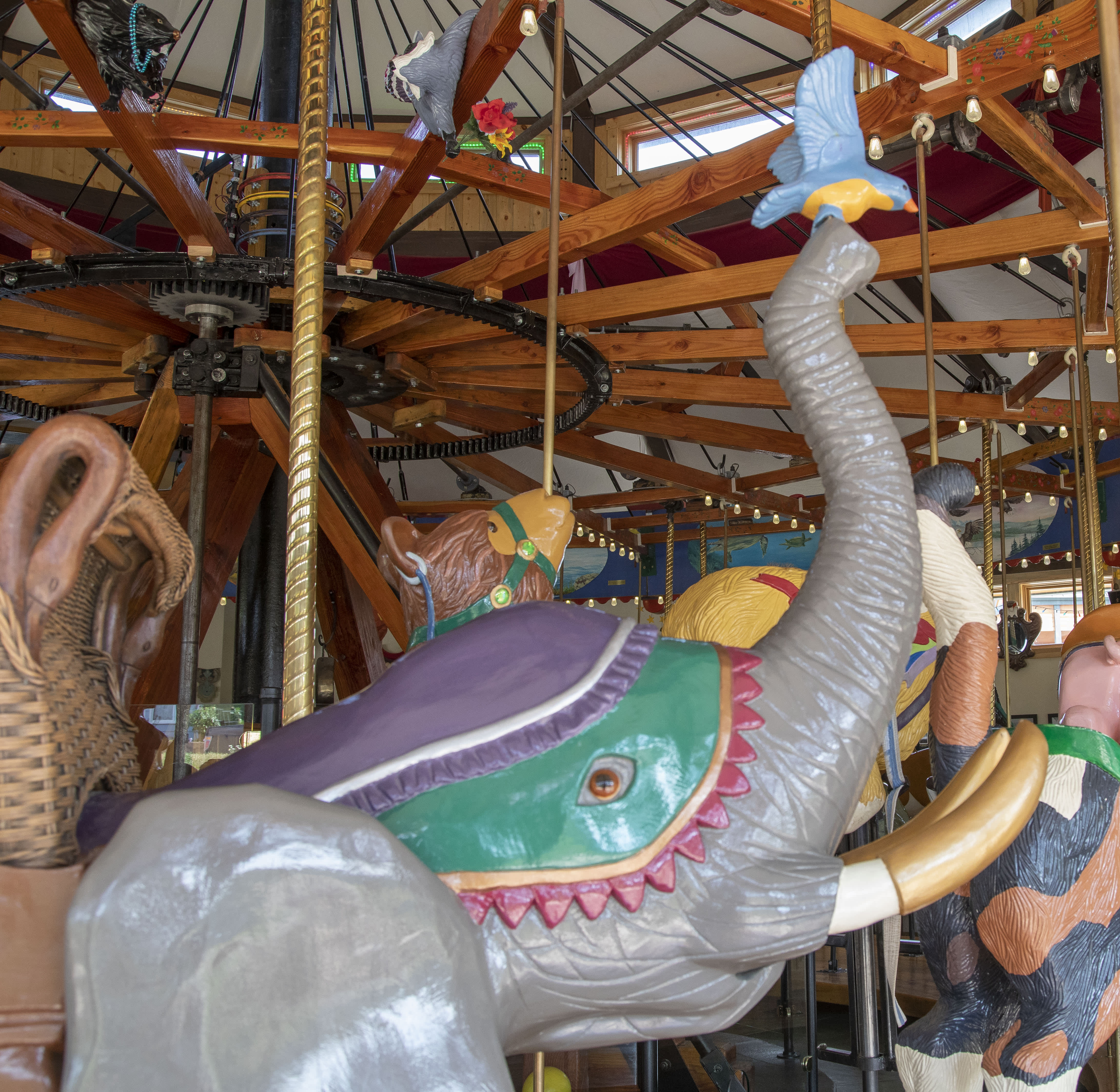 Photo 6 from Carousel of Happiness Inc