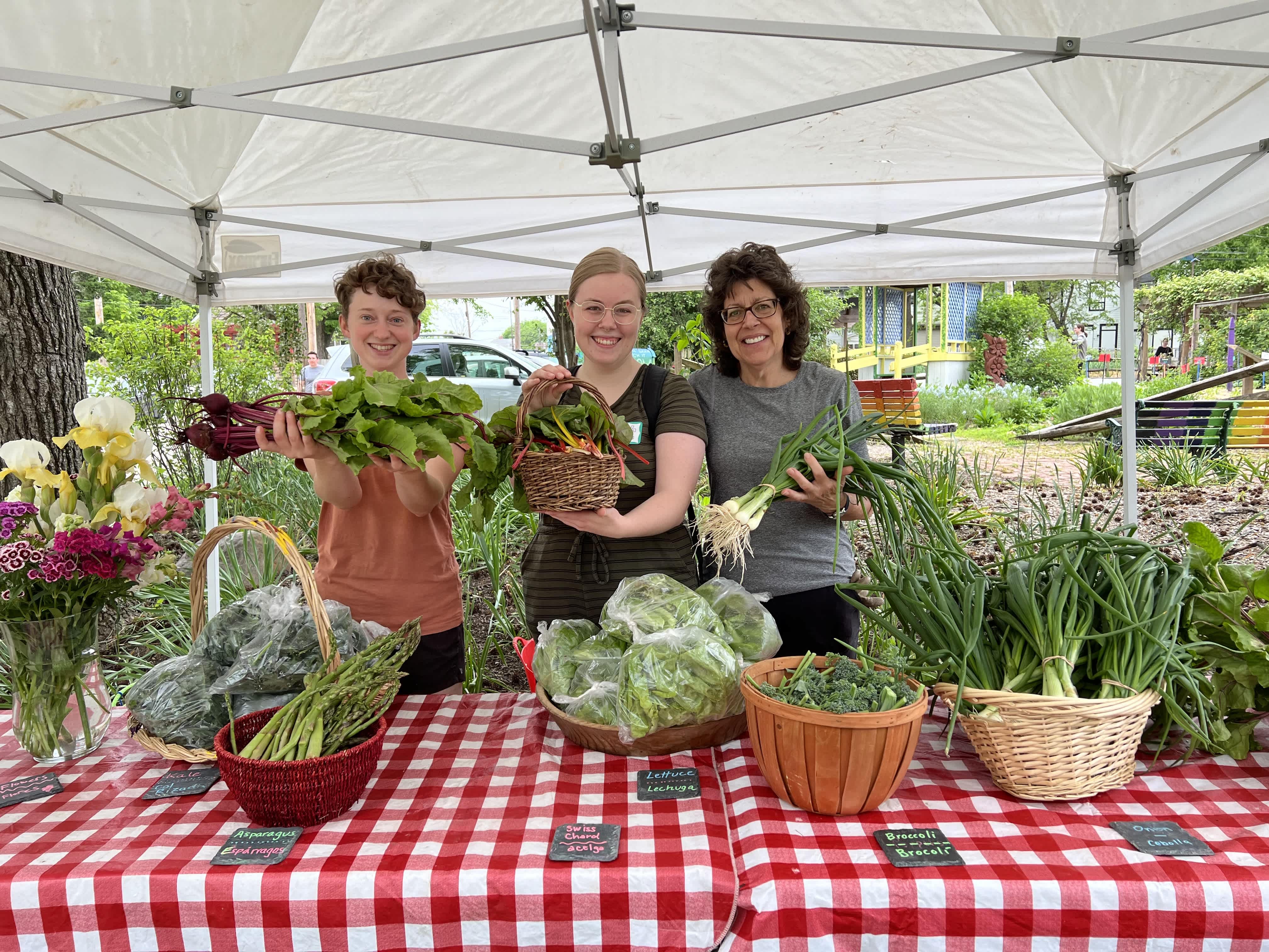 Photo 3 from Highland Youth Garden