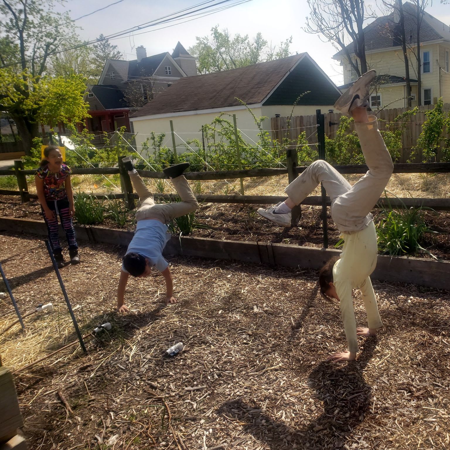 Photo 7 from Highland Youth Garden
