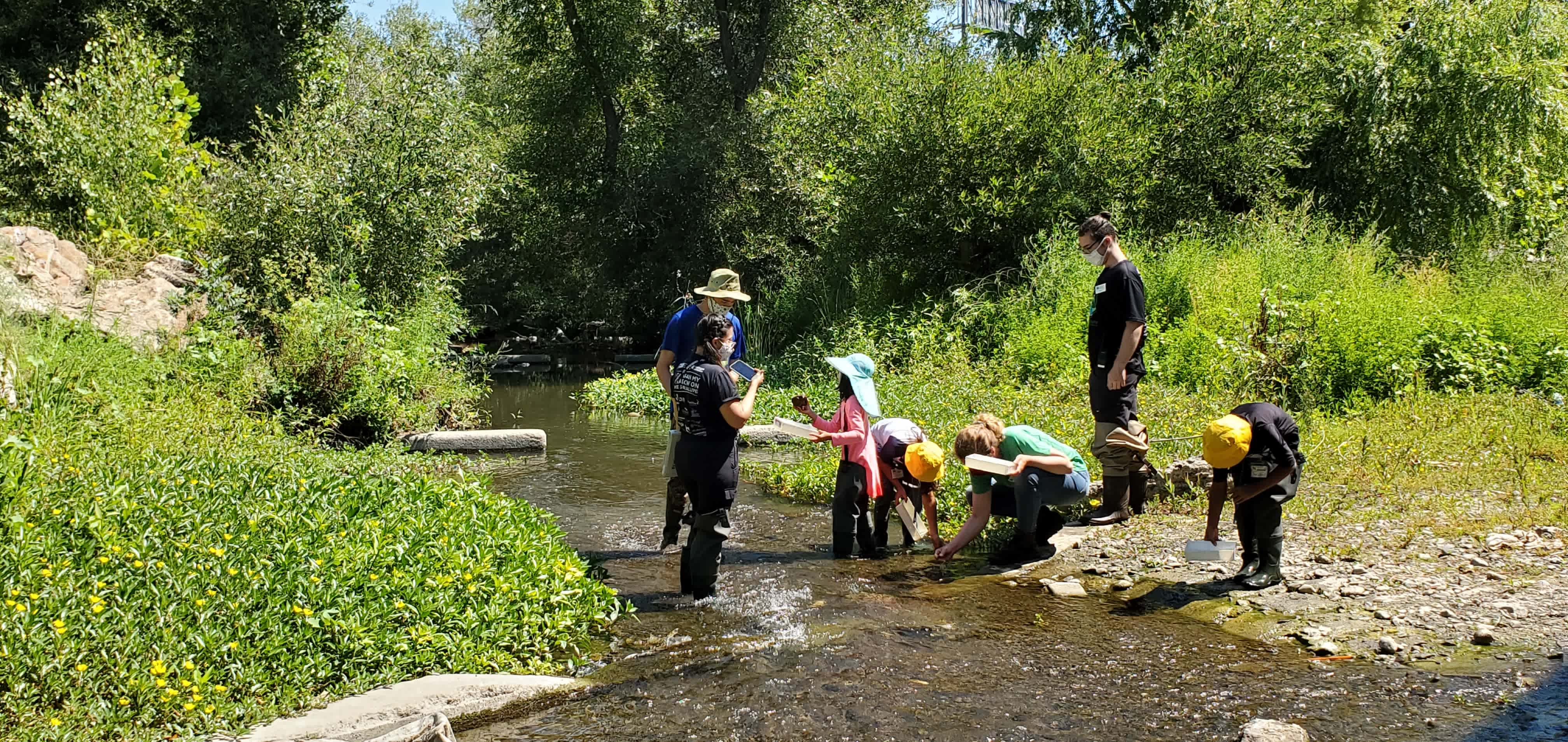 Photo 4 from Guadalupe River Park Conservancy