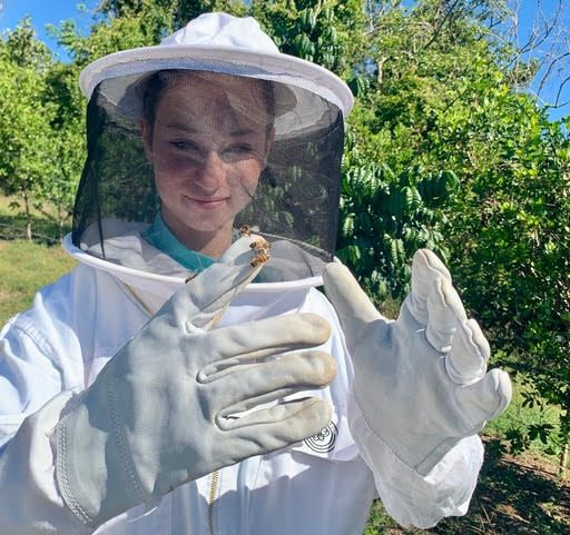 Photo 4 from The Bee Cause Project