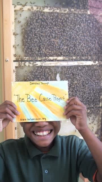 Photo 5 from The Bee Cause Project