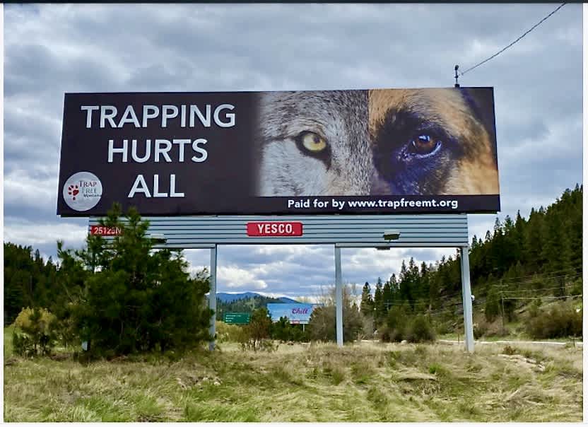 Photo 2 from Trap Free Montana