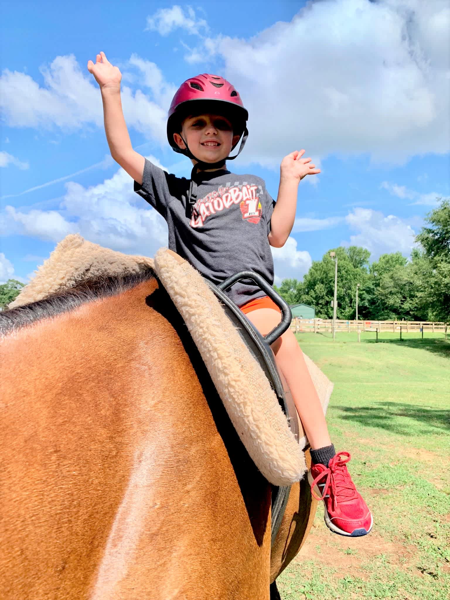 Photo 1 from Butterfly Dreams Farm Therapeutic Riding Program, Inc.