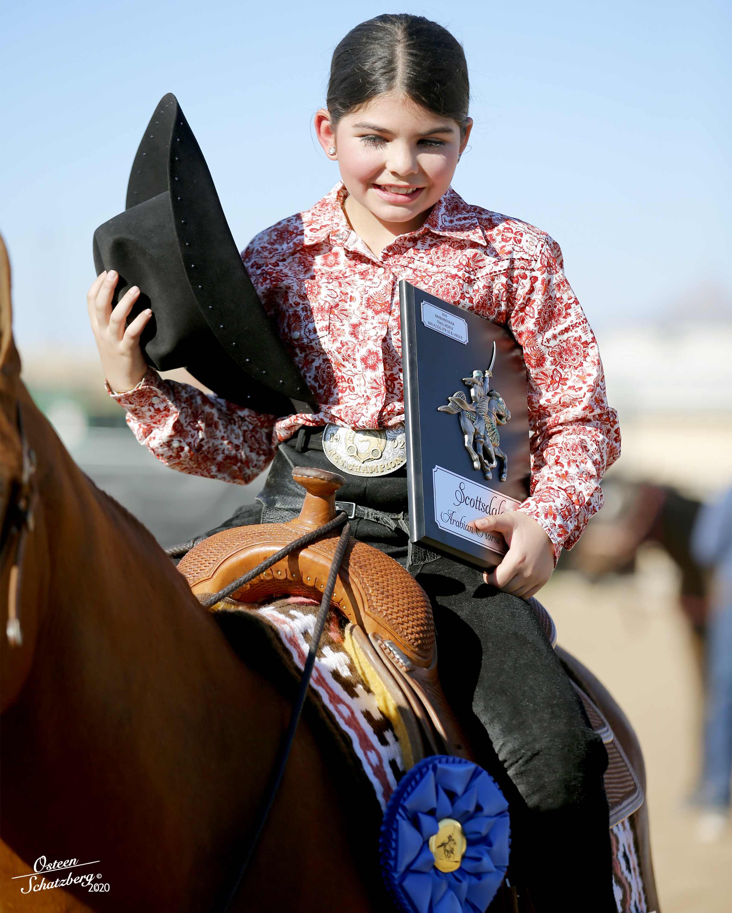 Photo 8 from Arabian Horse Association of Arizona