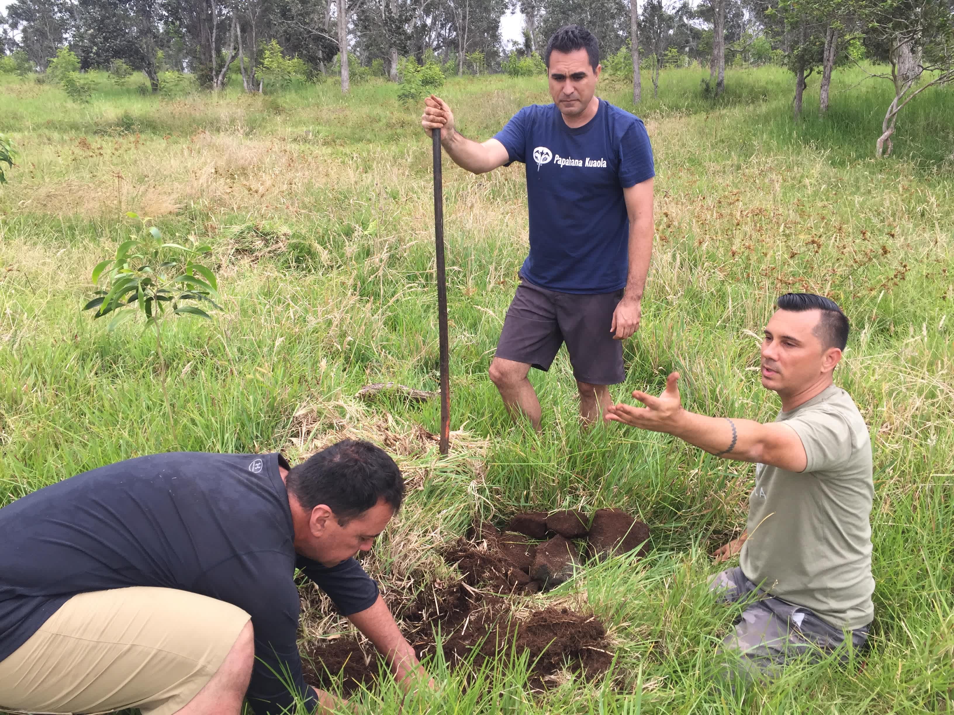 Photo 3 from Saving Hawaii's Forests, Inc
