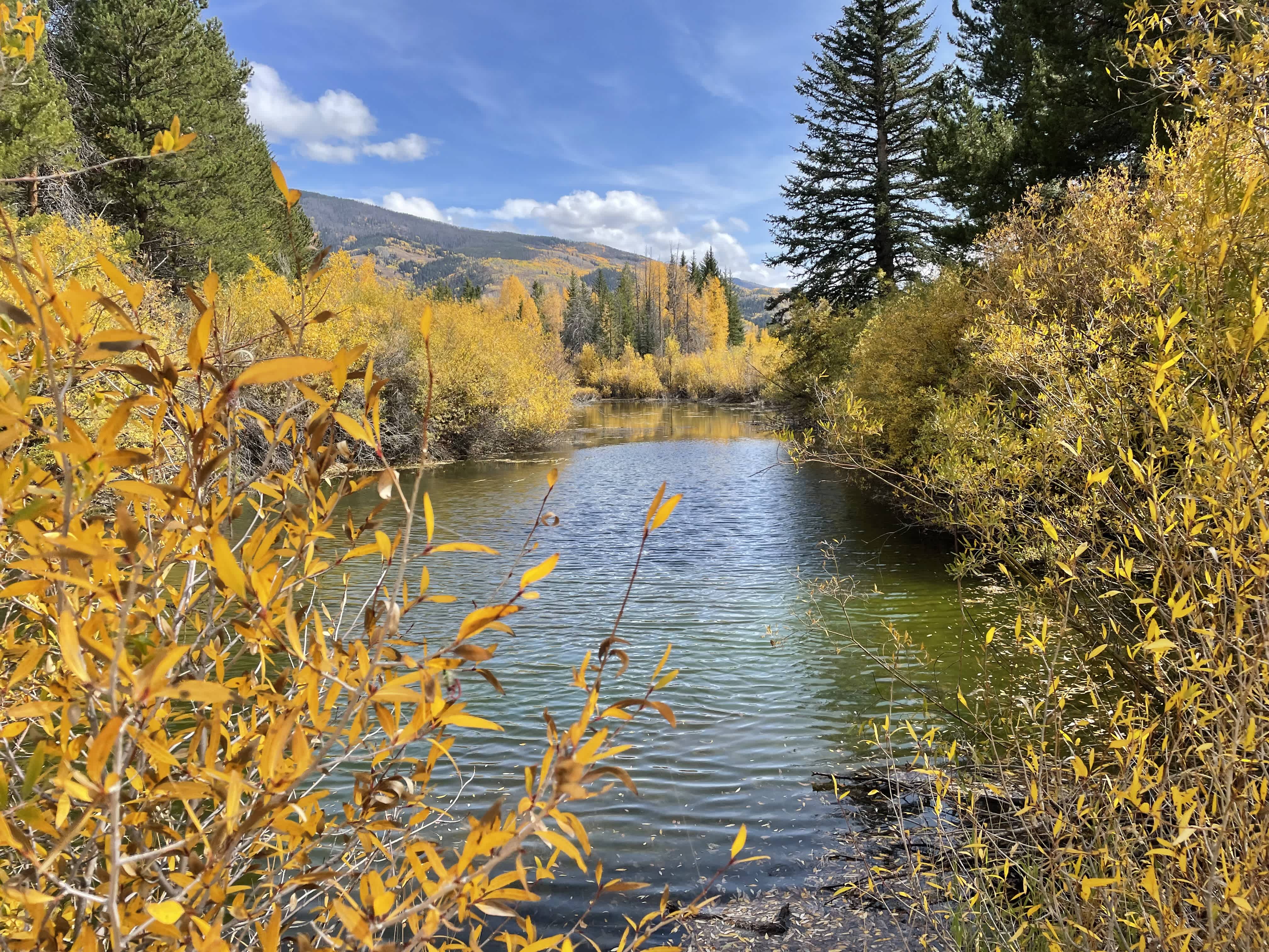 Photo 4 from Friends of the Lower Blue River (FOLBR)
