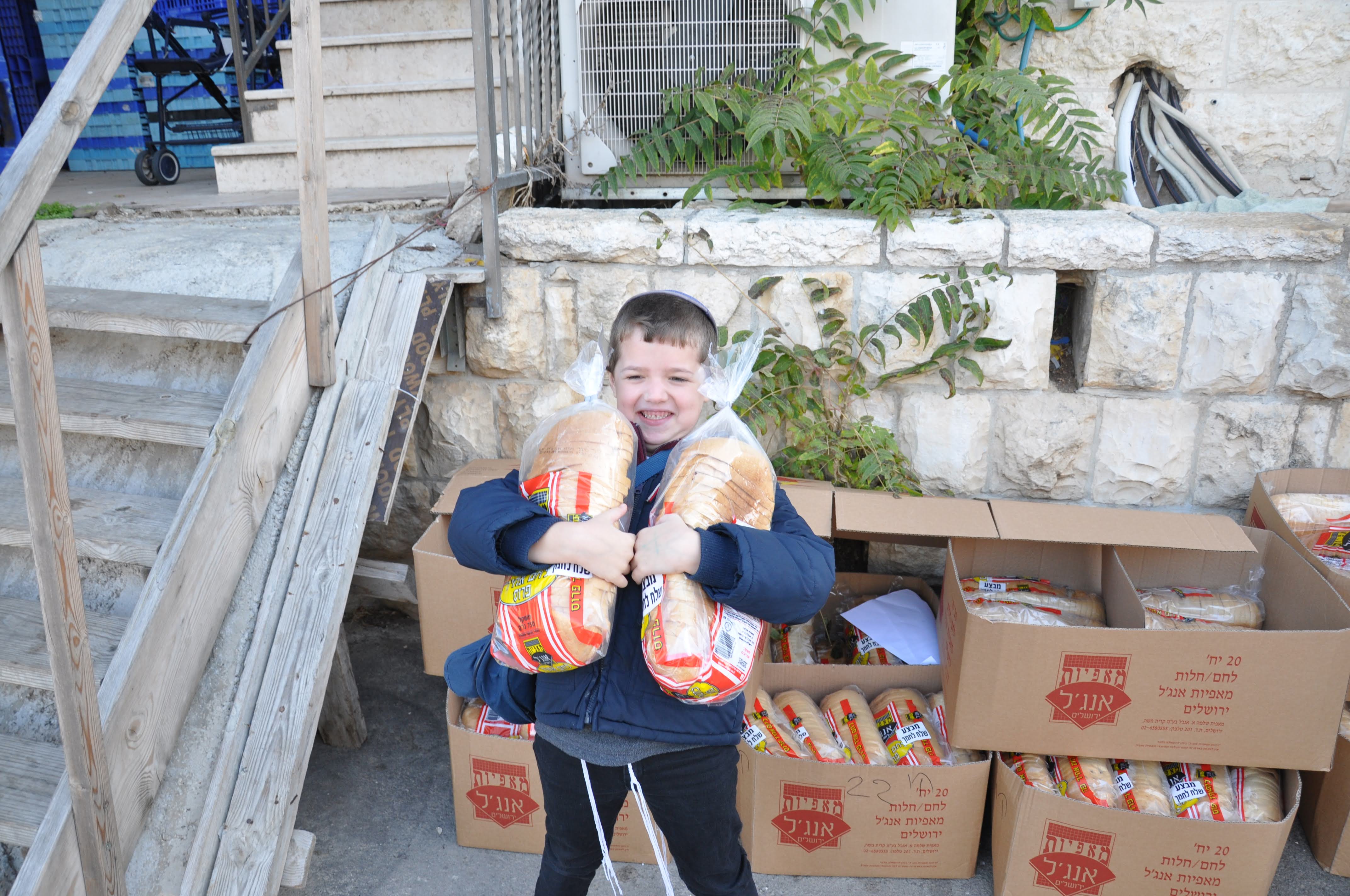 Photo 5 from Bread for Israel