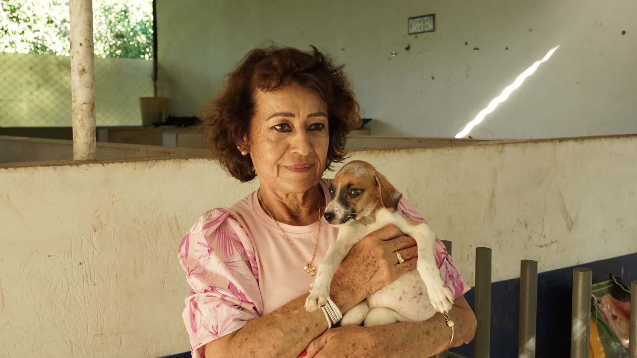 Photo 9 from ADAG - ASOCIACION DEFENSORA DE ANIMALES Y DEL MEDIO AMBIENTE DE GIRARDOT