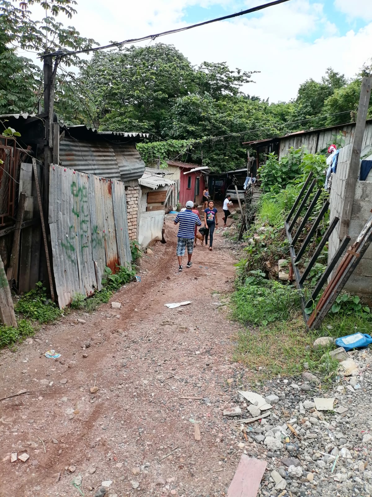 Photo 12 from Second Wind Foundation