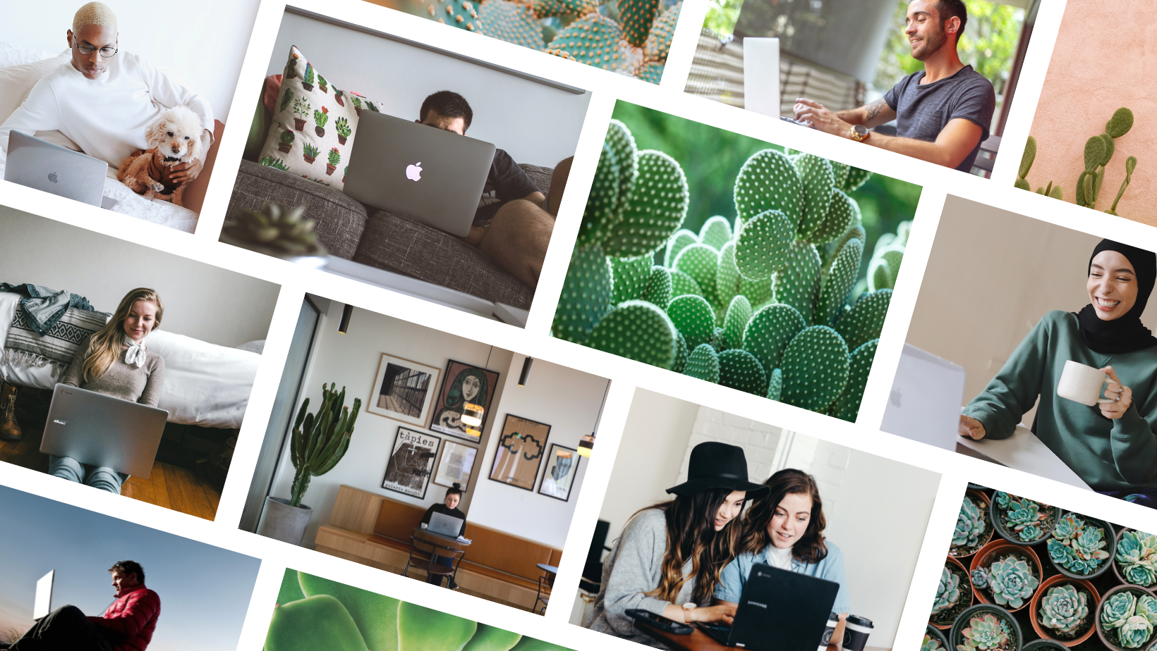 CACTUS CANCER SOCIETY