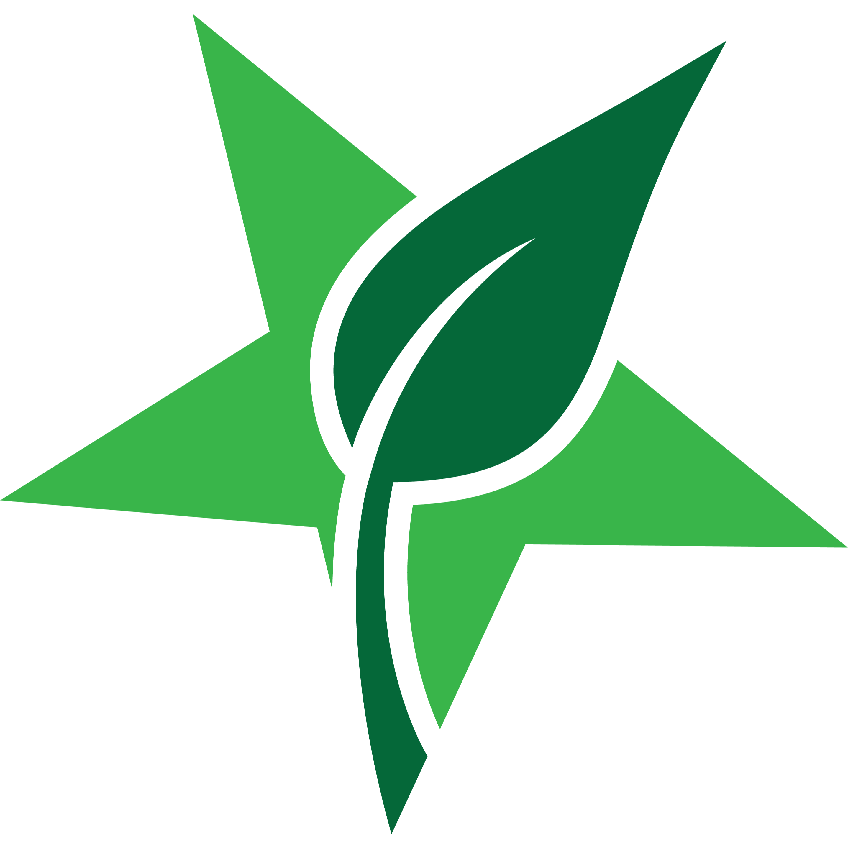 Green Star of Interior Alaska
