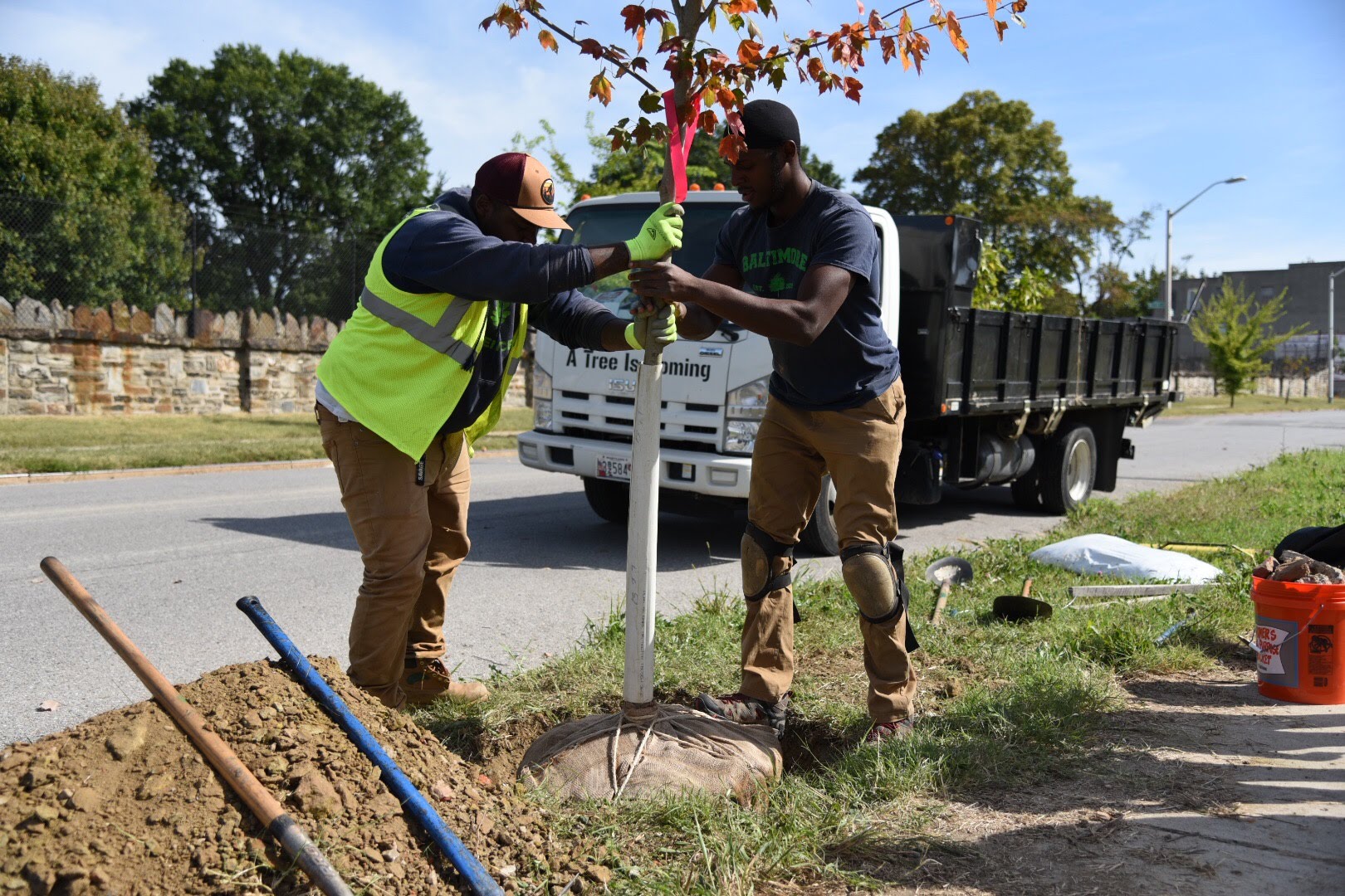 Baltimore Tree Trust