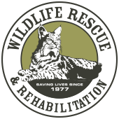 WILDLIFE RESCUE AND REHABILITATION INC.