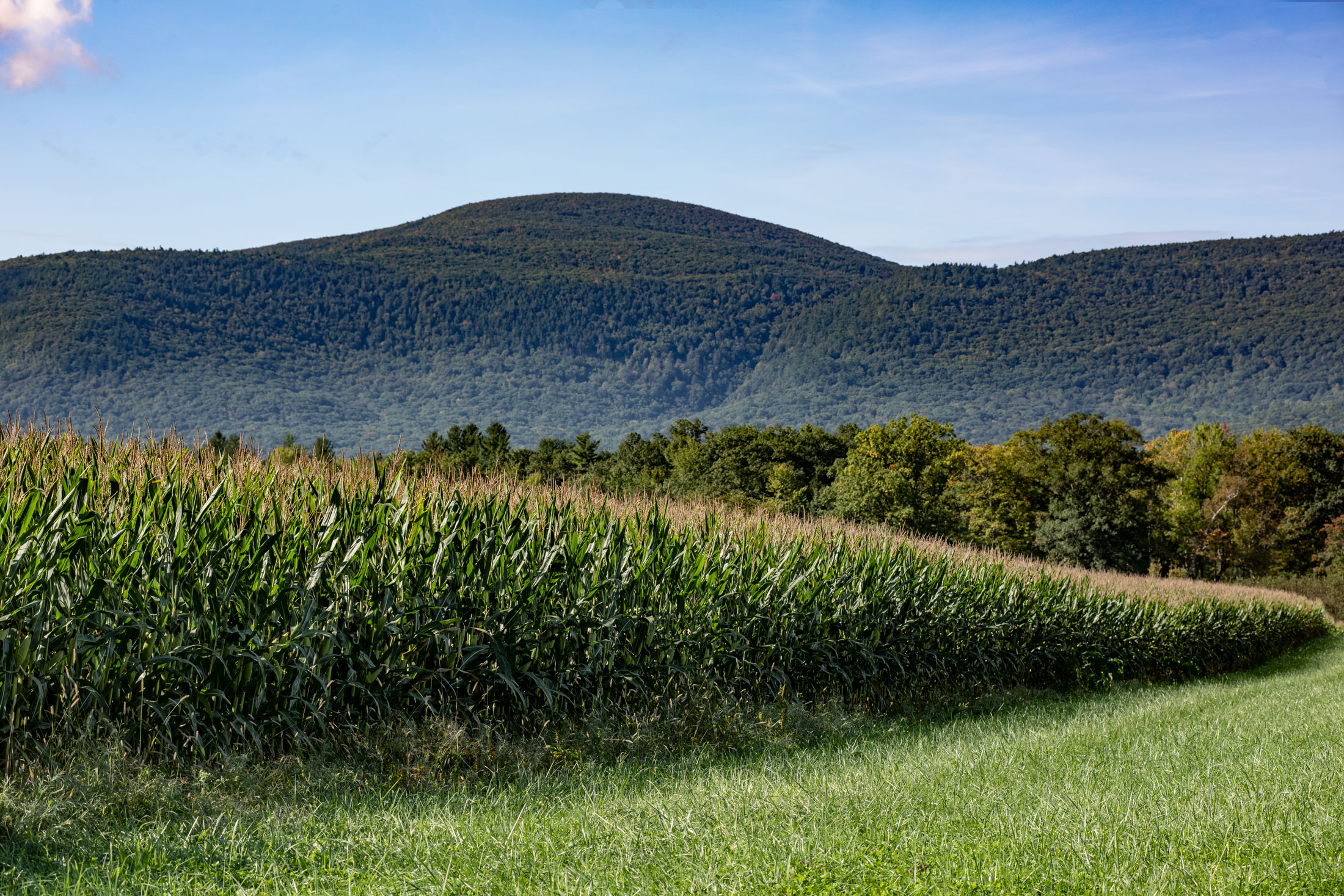 Berkshire Agricultural Ventures