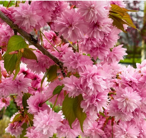 Photo 5 from QA Sandbox