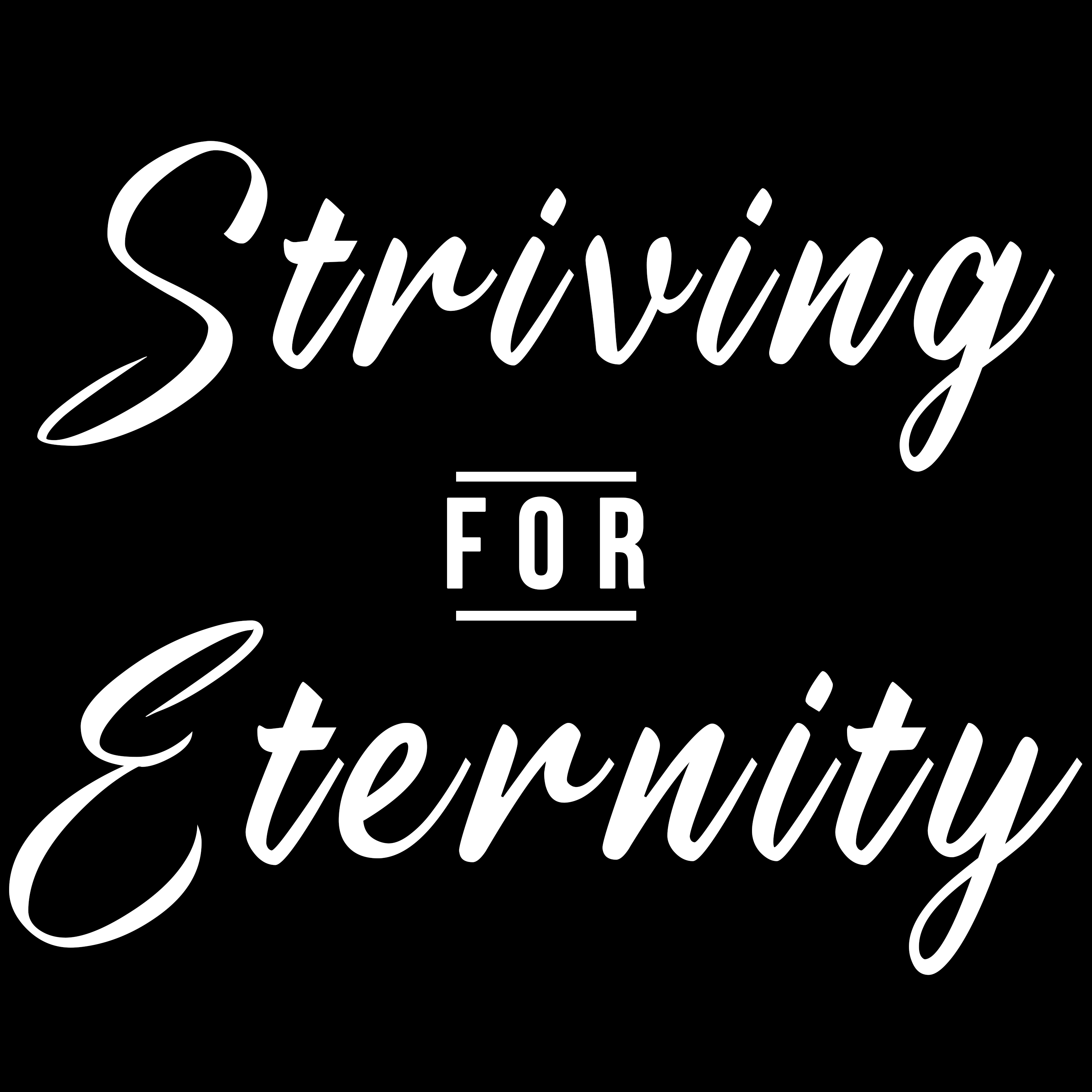 STRIVING FOR ETERNITY A NJ NONPROFIT CORPORATION
