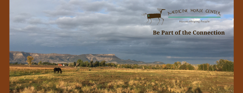 MEDICINE HORSE CENTER - Equine Assisted Learning 