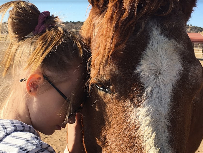 MEDICINE HORSE CENTER - Equine Assisted Learning 