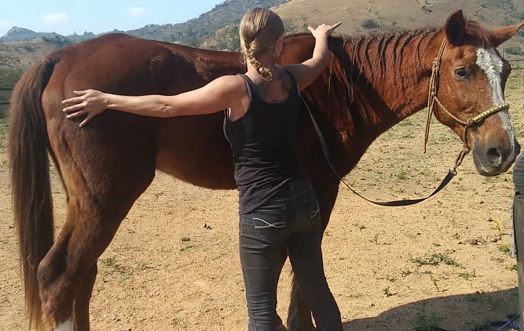 Divinity Sanctuary for Equines
