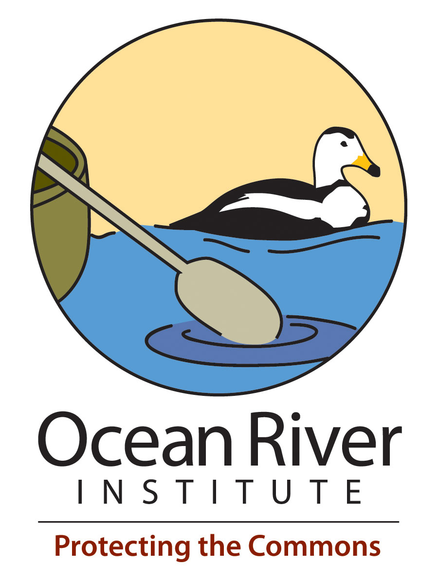 Ocean River Institute