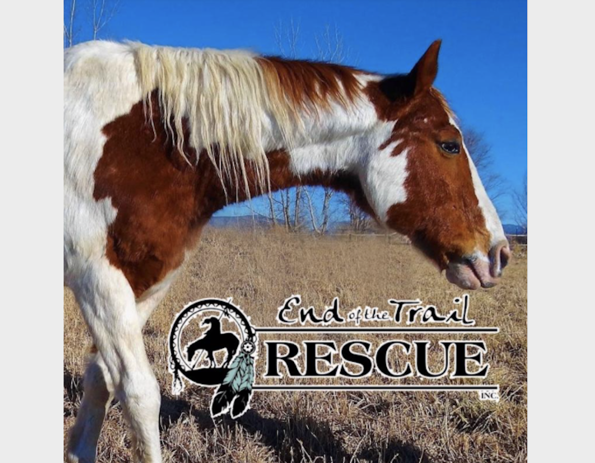 End of the Trail Rescue