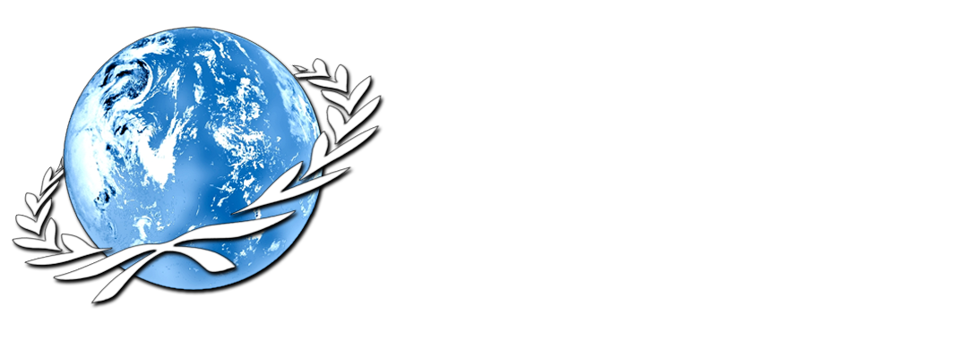 The Millennium Project