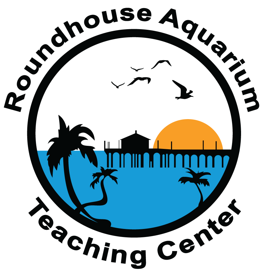 OCEANOGRAPHIC TEACHING STATIONS INC (Roundhouse Aquarium Teaching Center)