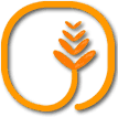The Food Bank of Lower Fairfield County, Inc.