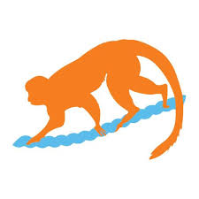 Kids Saving the Rainforest