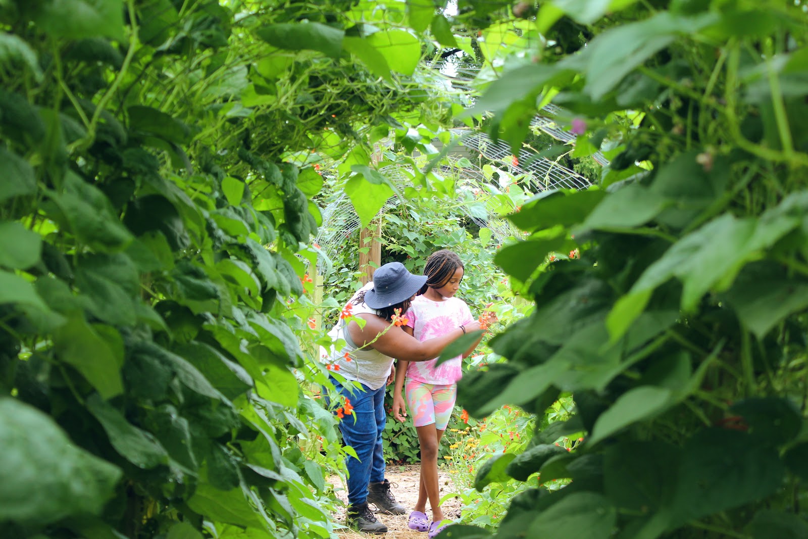 Highland Youth Garden