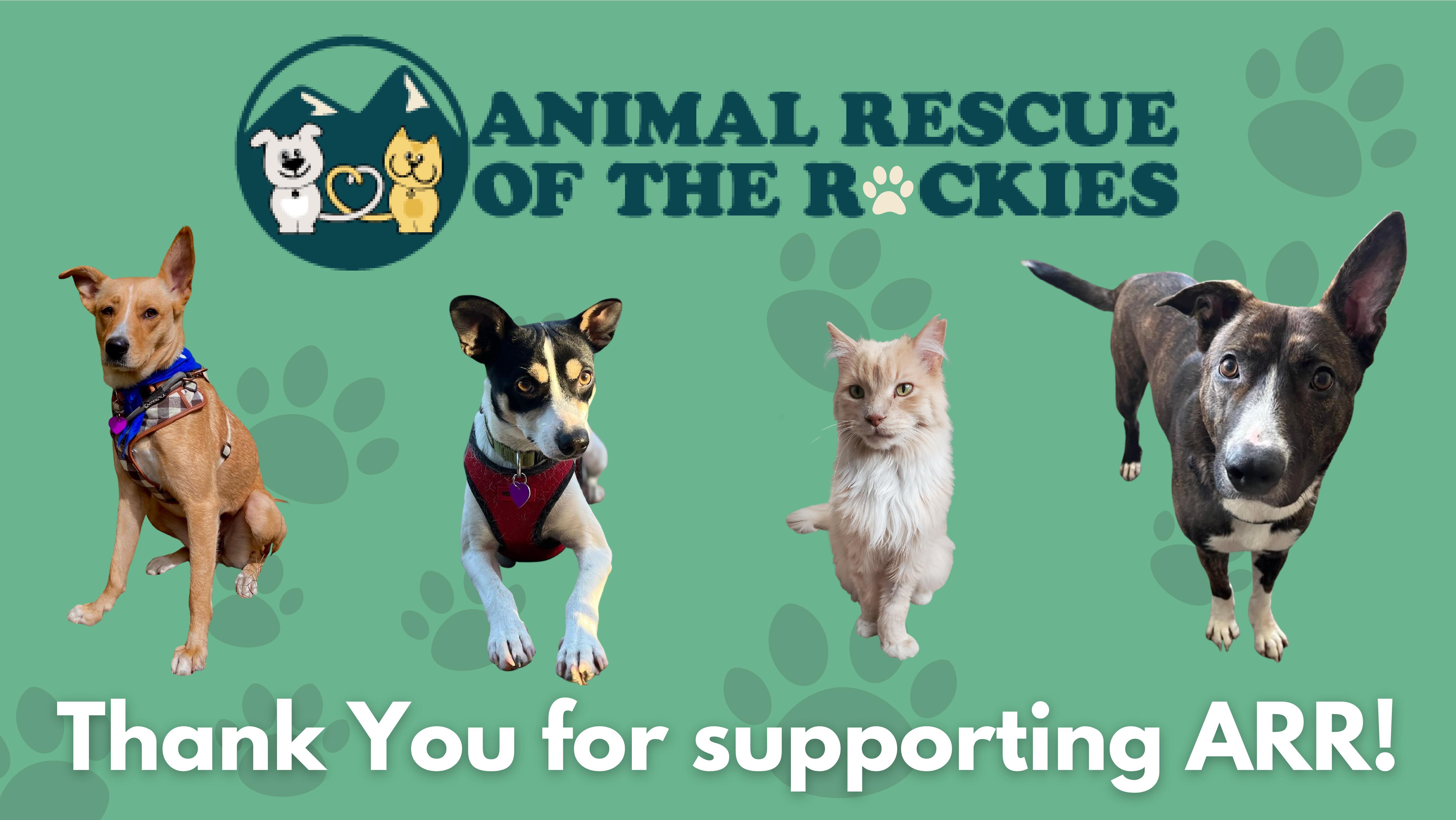 Animal Rescue of the Rockies