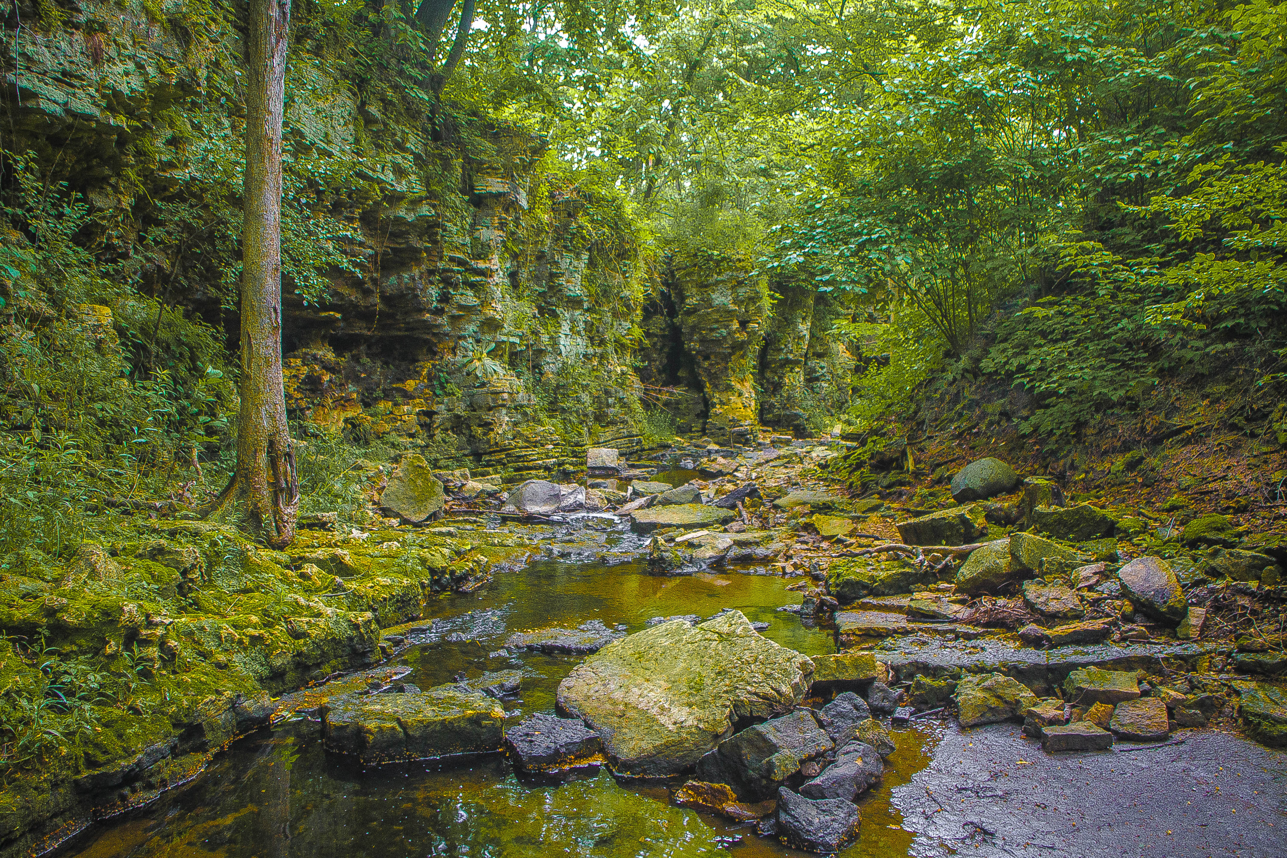 Friends Of The Forest Preserves