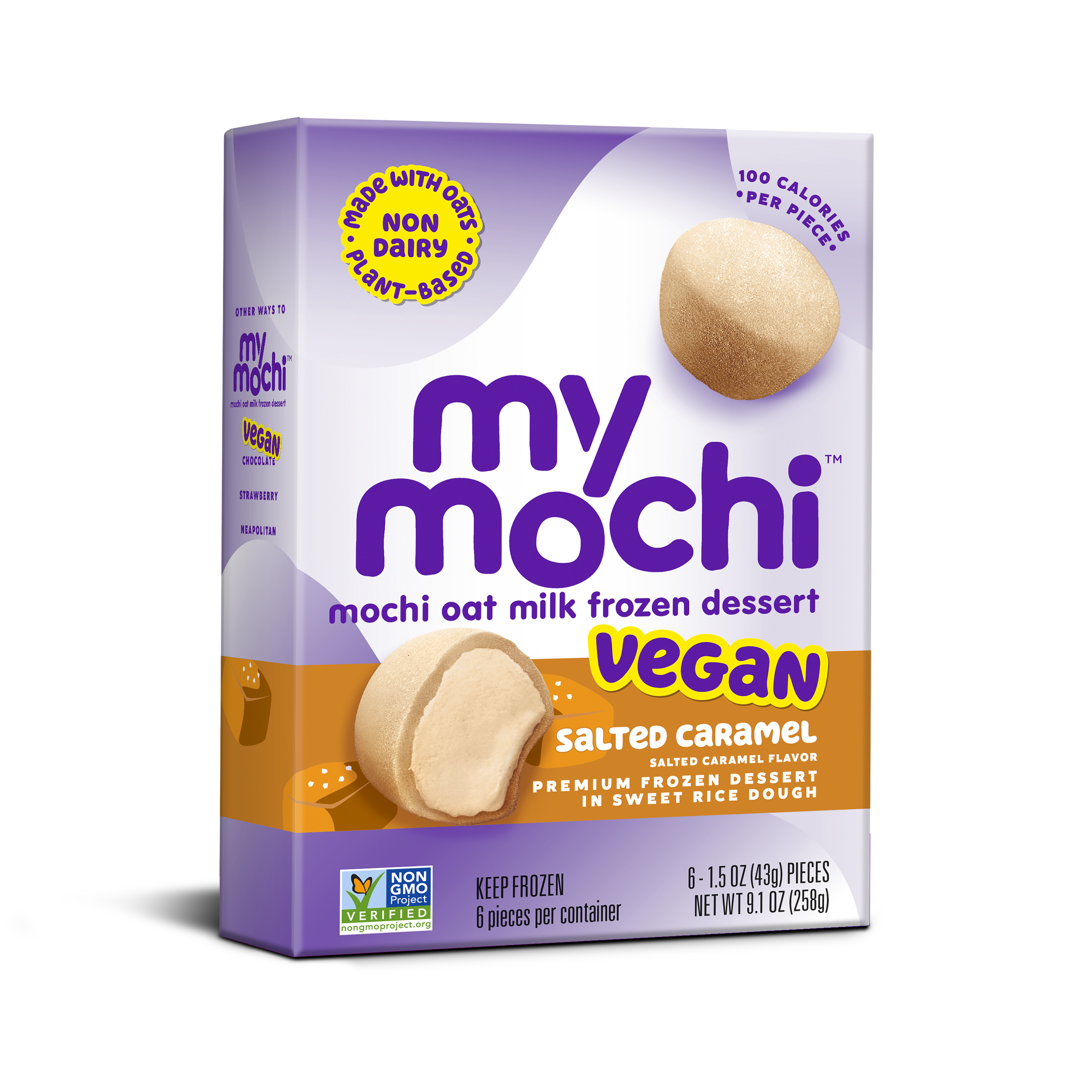 Non Dairy Frozen Dessert Salted Caramel