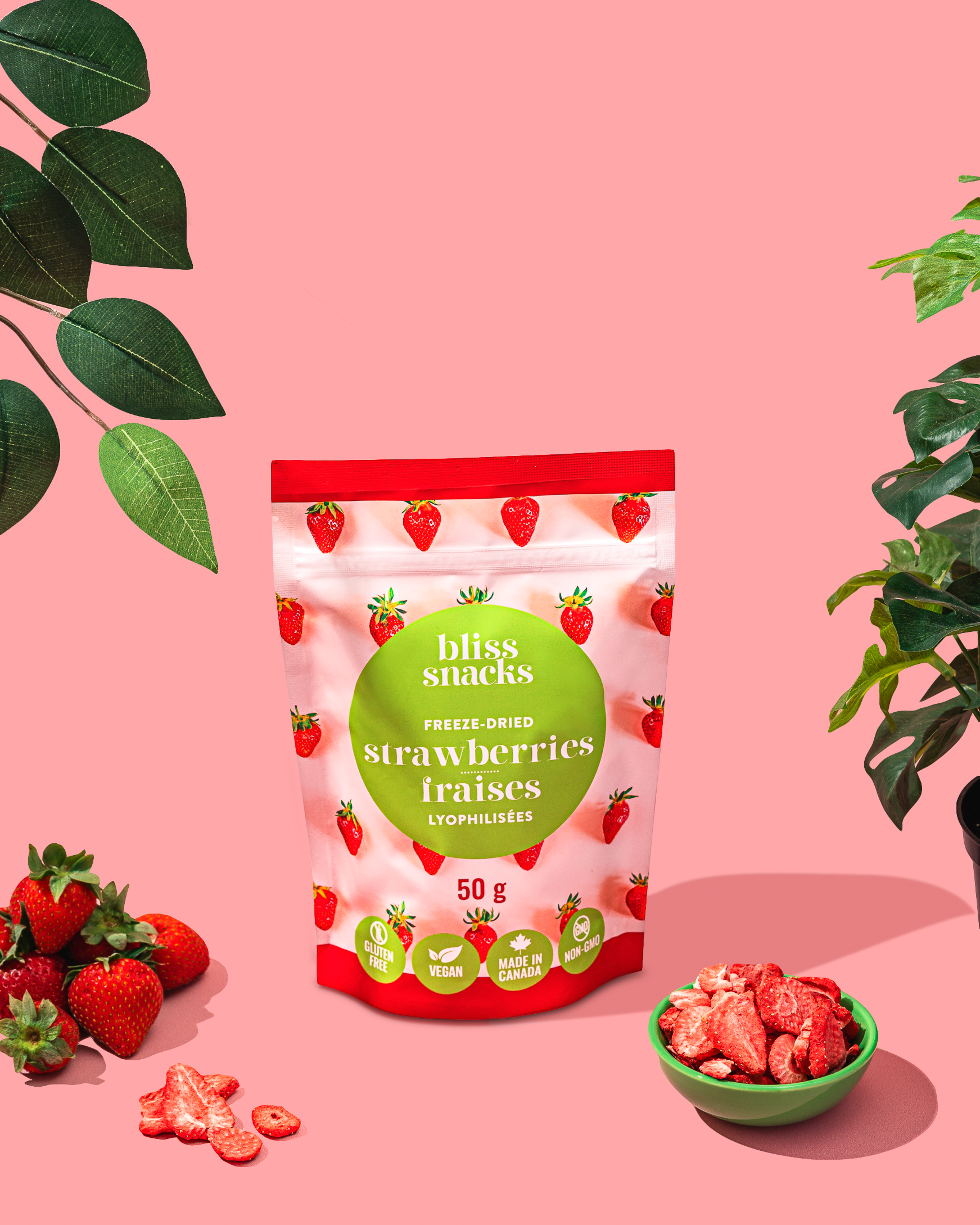 Freeze-Dried Strawberry Slices