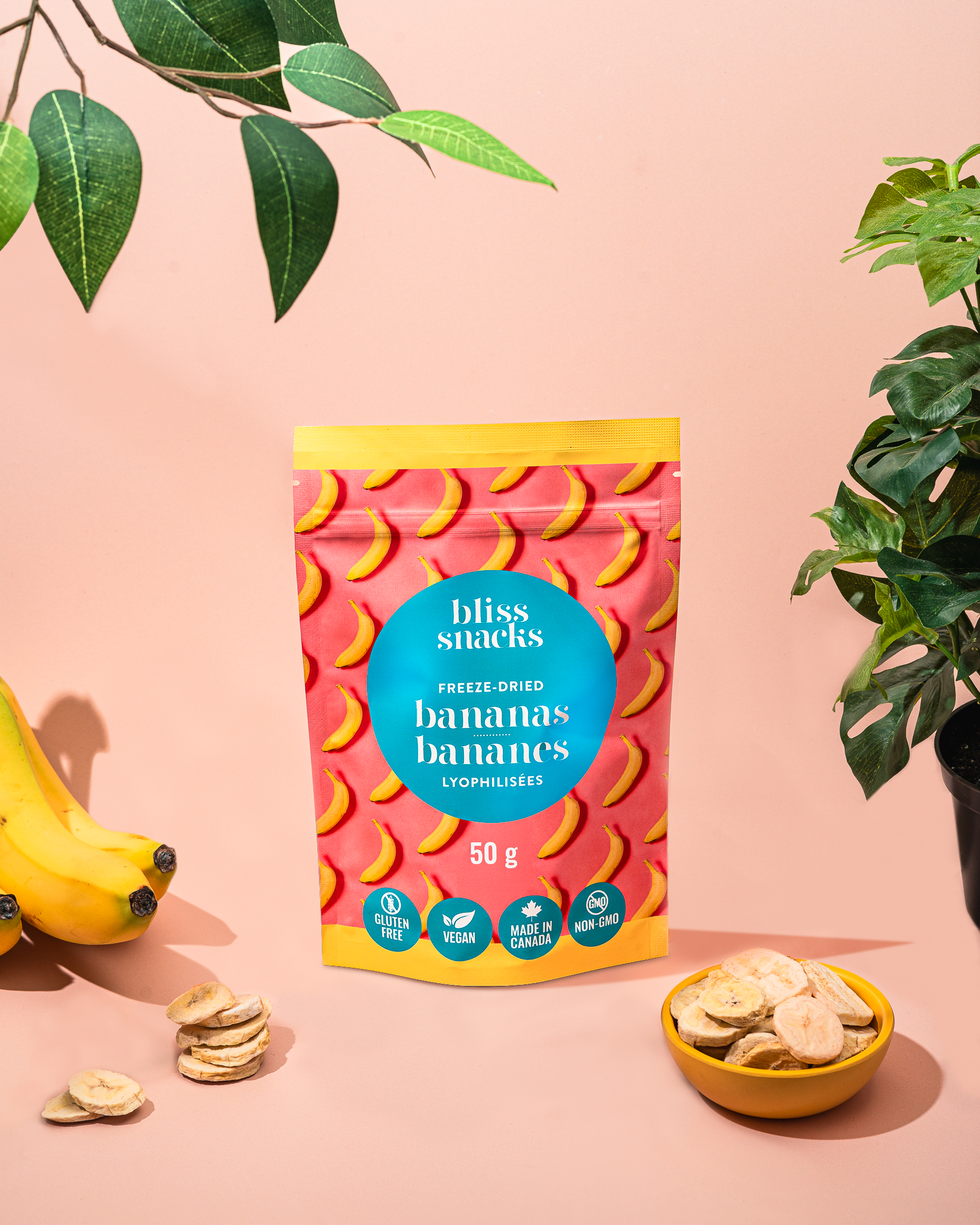 Freeze-Dried Banana Slices
