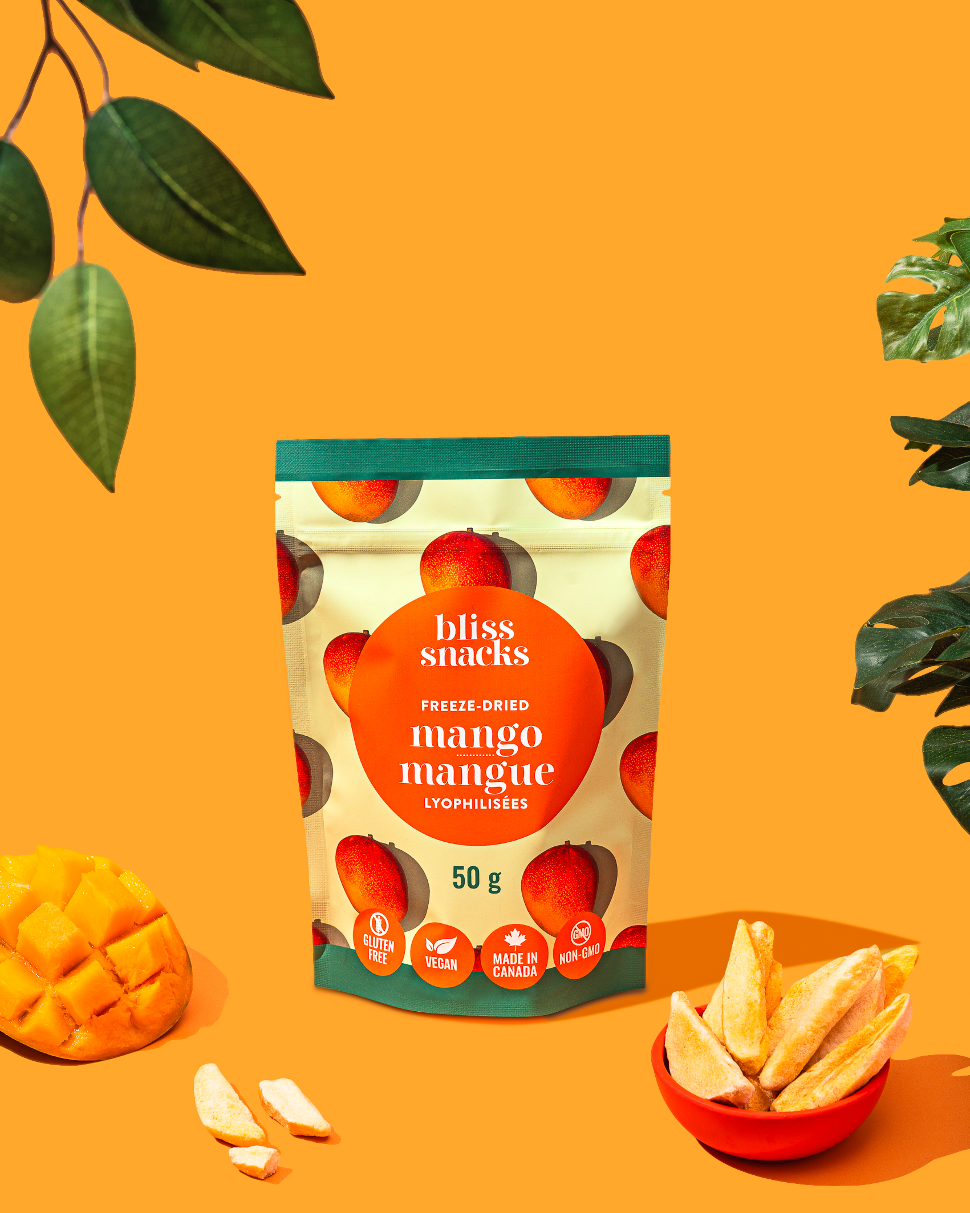Freeze-Dried Mango Slices
