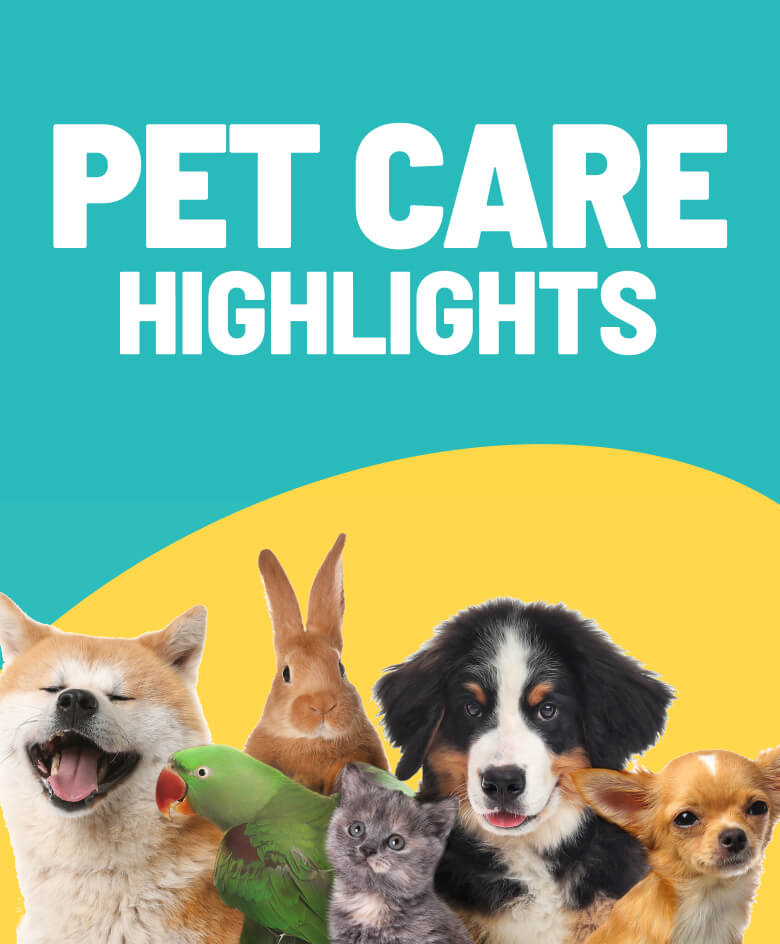 Pet Care Highlights