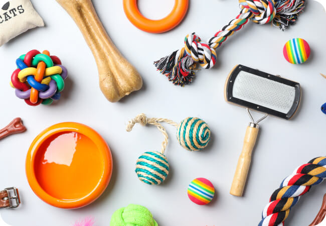 Pet Accessories