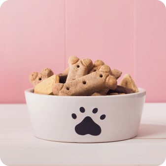 Treats In Bowl