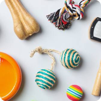 Pet Accessories