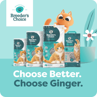 Breeder's Choice