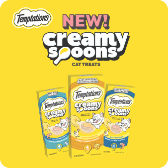 Temptations Creamy Spoons
