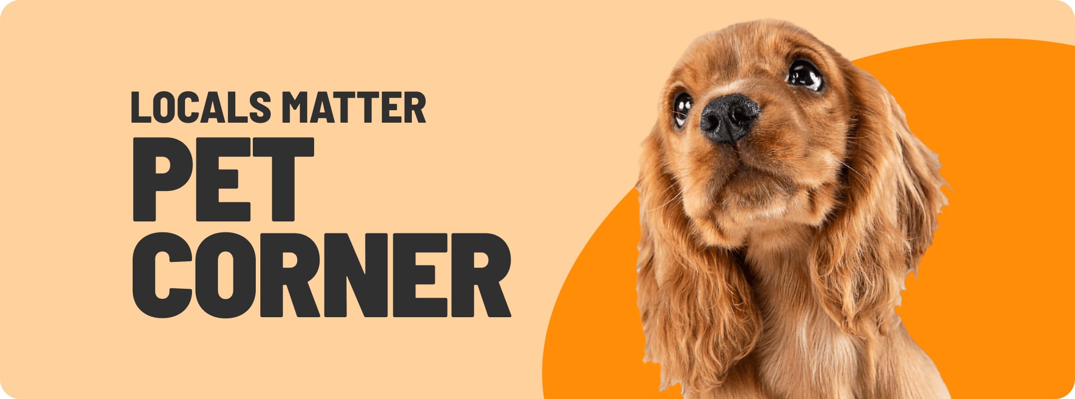 IGA Locals Matter Pet Corner