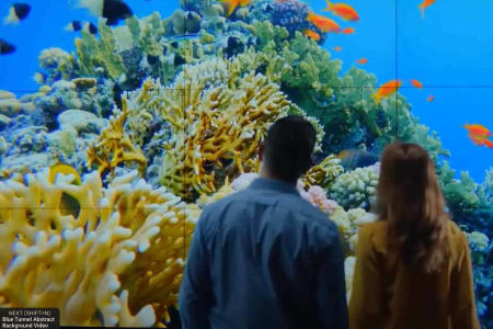 Video Walls