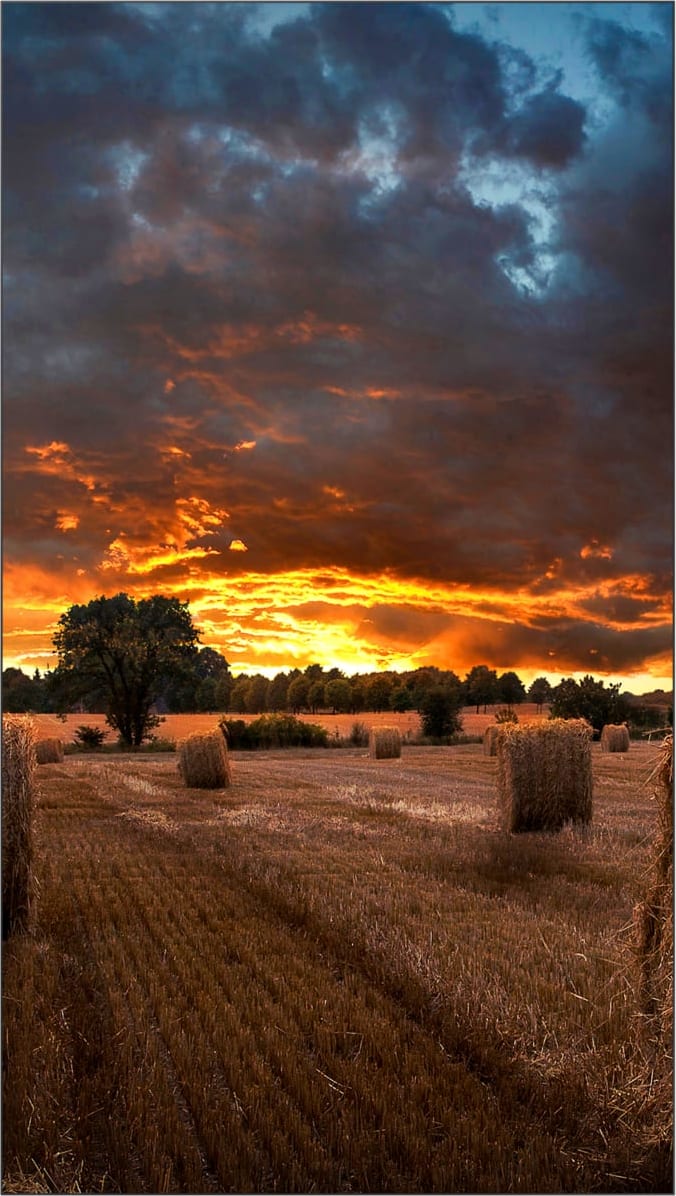 Samsung 55Inch Vm55B-U Video Wall Display 2 Samsung 55Inch Vm55B-U Video Wall Display - Image 2